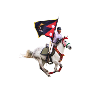 Ghode Jatra png PNG