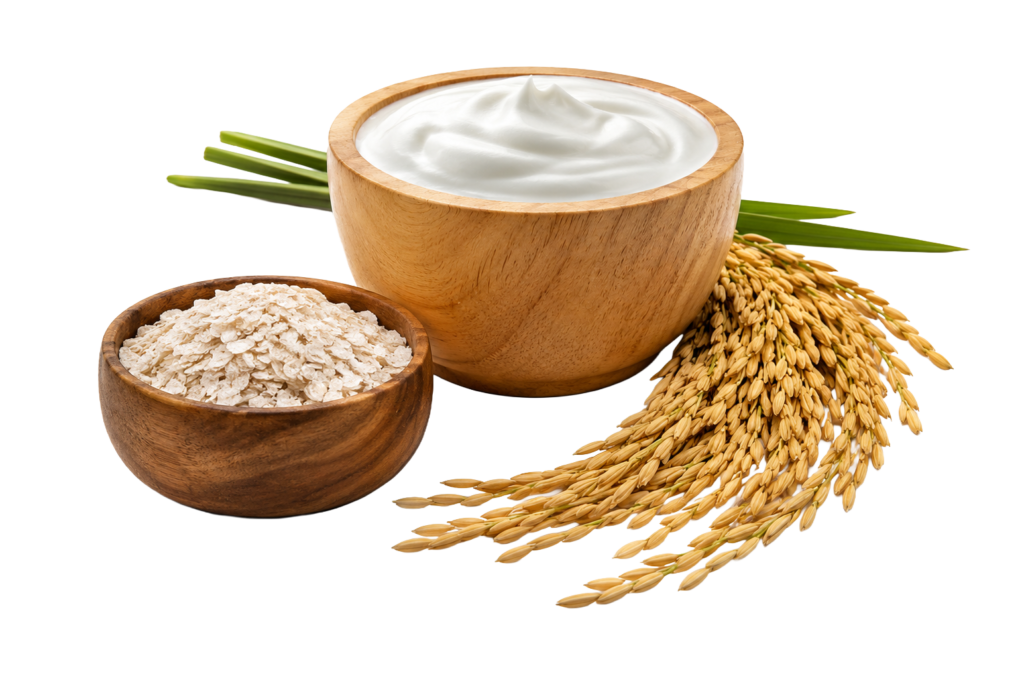 Dahi chiura rice paddy png transparent PNG